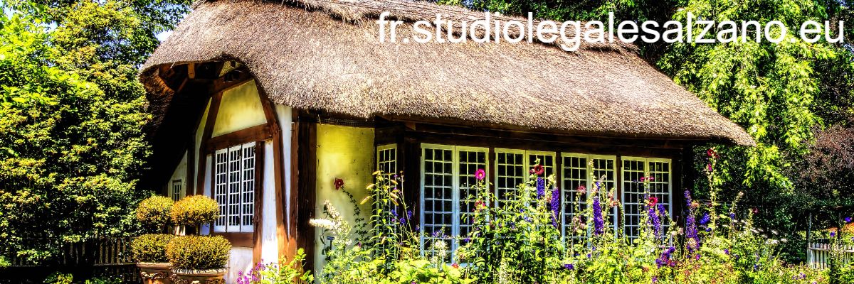 fr.studiolegalesalzano.eu